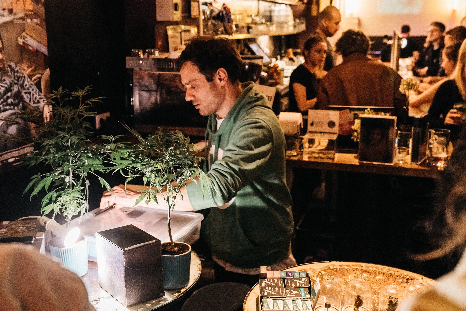 60964019_446965139390102_6197730390443032576_o