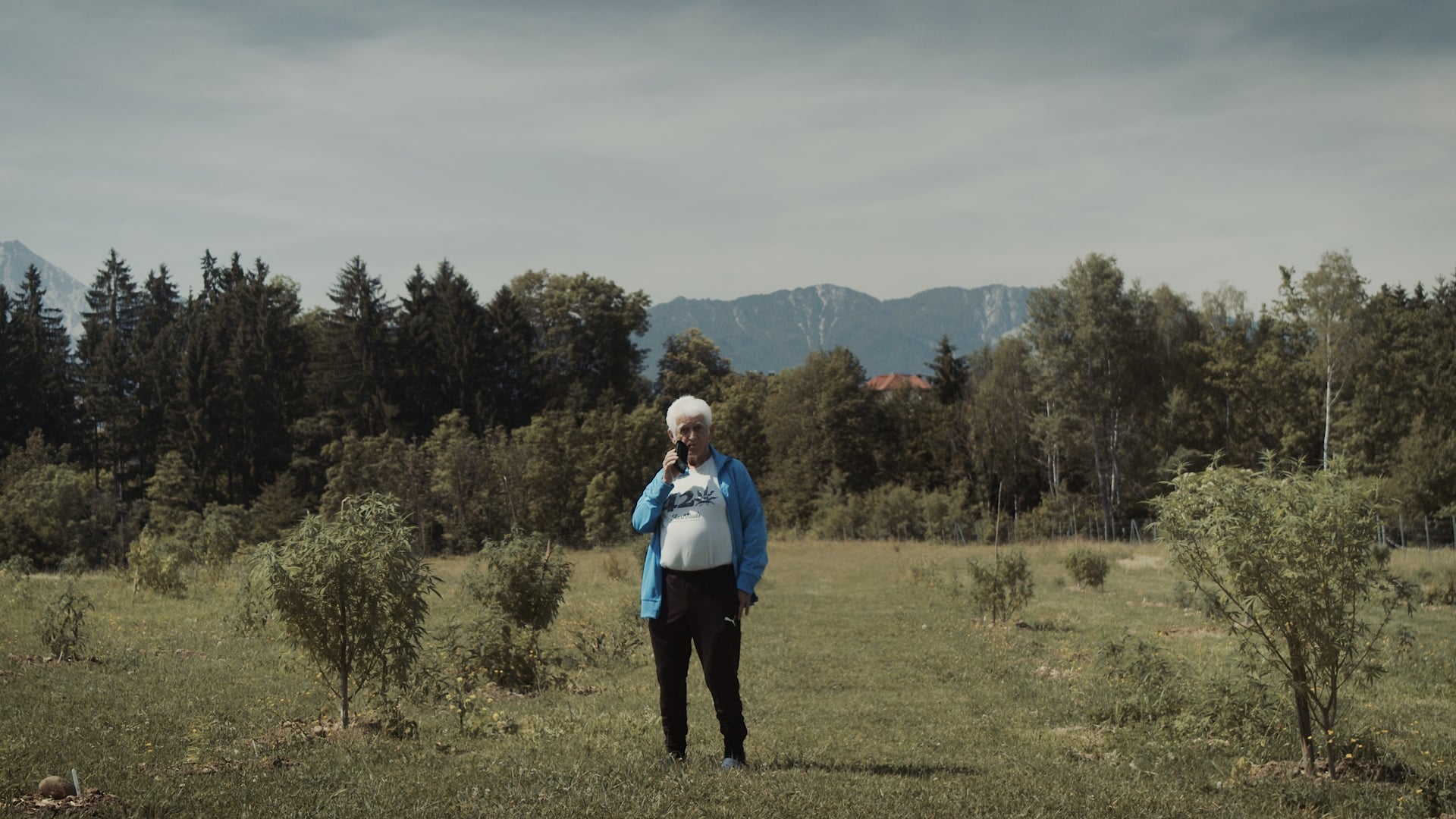 HH_KTN2_Medicine_ONLINE.00_09_41_08.Still002