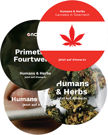 stickethumansandherbs